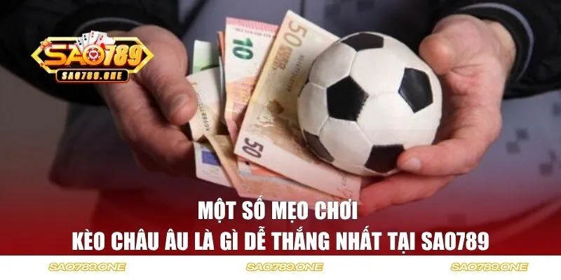 Bỏ túi ngay những mẹo chơi cá cược siêu chuẩn tại cổng game